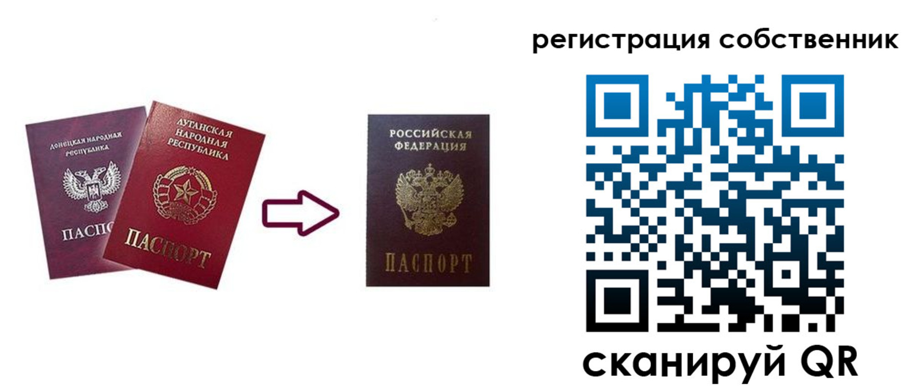 прописка для школы в Нововоронеже